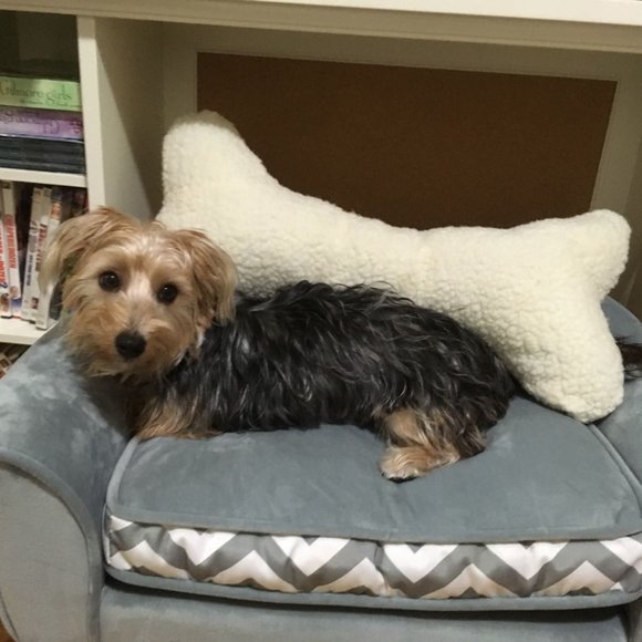 Meet your Posher, Michelle - Picture 10 of 16